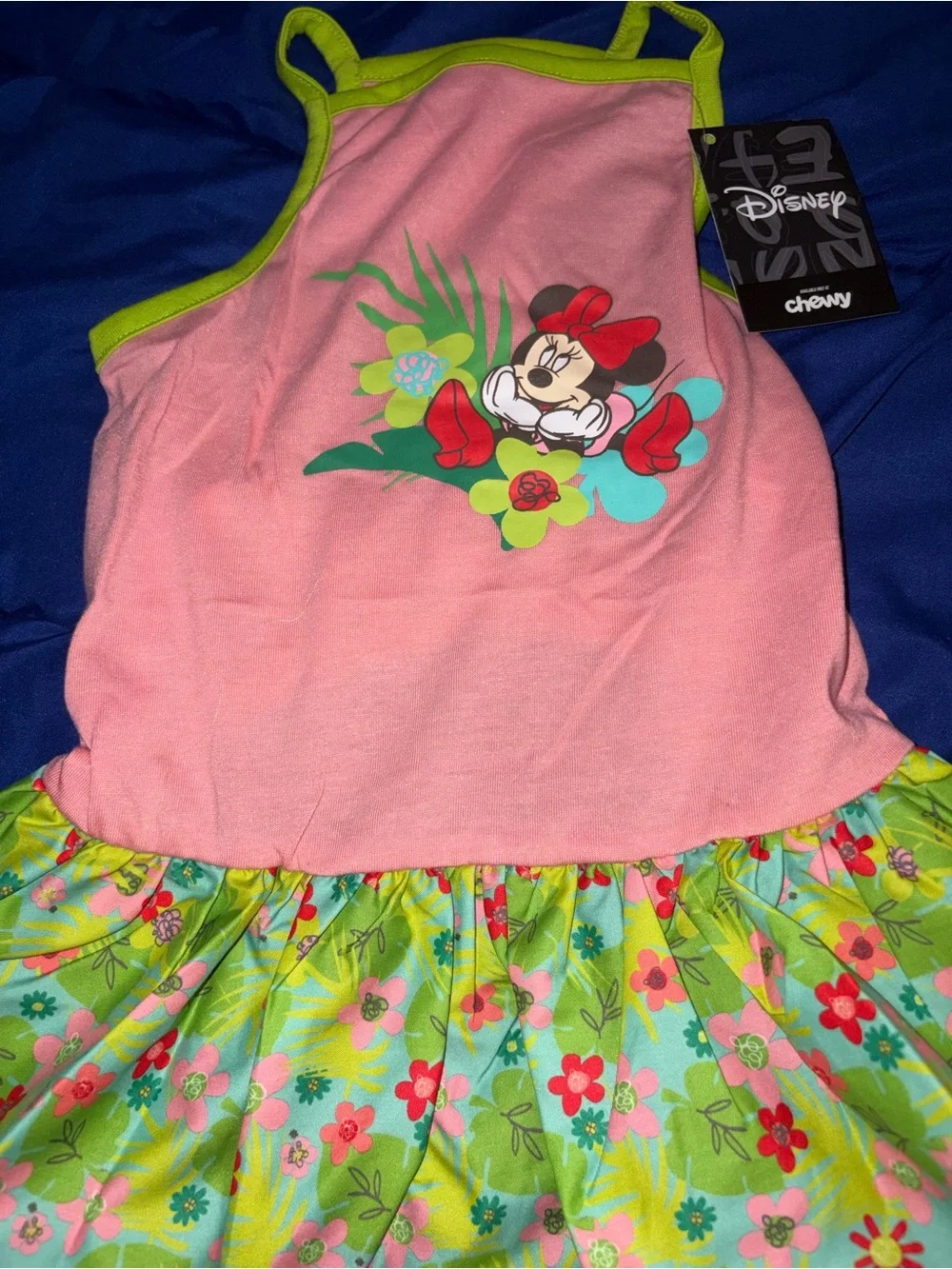 Disney minnie mouse